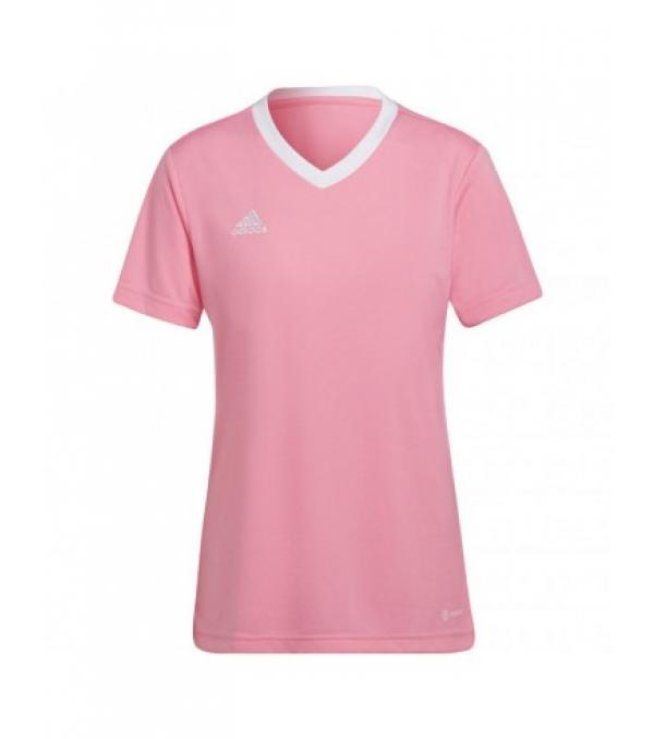 Adidas Entrada 22 Jersey γυναικείο t-shirtΙδιότητες:Το γυναικείο t-shirt της adidas θα αποδείξει την αξία του κατά τη διάρκεια ποδοσφαιρικών αγώνων.Το ελαφρύ υλικό δεν επιβαρύνει τους μυς και το προηγμένο φινίρισμα τεχνολογίας Aeroready διατηρεί το δέρμα σας στεγνόStandard krΛαιμόκοψη V.Κεντημένο λογότυπο της adidas.Το πολυεστερικό ύφασμα που χρησιμοποιήθηκε για την παραγωγή αυτού του μοντέλου δημιουργήθηκε με τη διαδικασία της ανακύκλωσης, η οποία συμβάλλει στην προστασία των φυσικών πόρωνΣυλλογή Entrada 22.100% ανακυκλωμένος πολυεστέρας