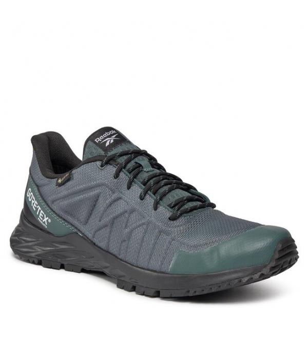 Παπούτσια Reebok GORE-TEX Astroride Trail Gtx 2.0 IE2477 Hoops Blue/Core Black/Cloud White