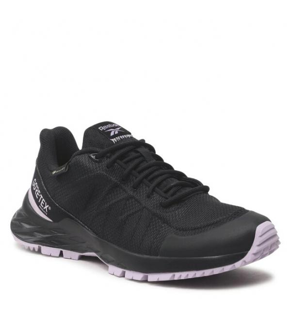 Παπούτσια Reebok Astroride Trail GTX 2.0 Shoes IF7257 Μαύρο